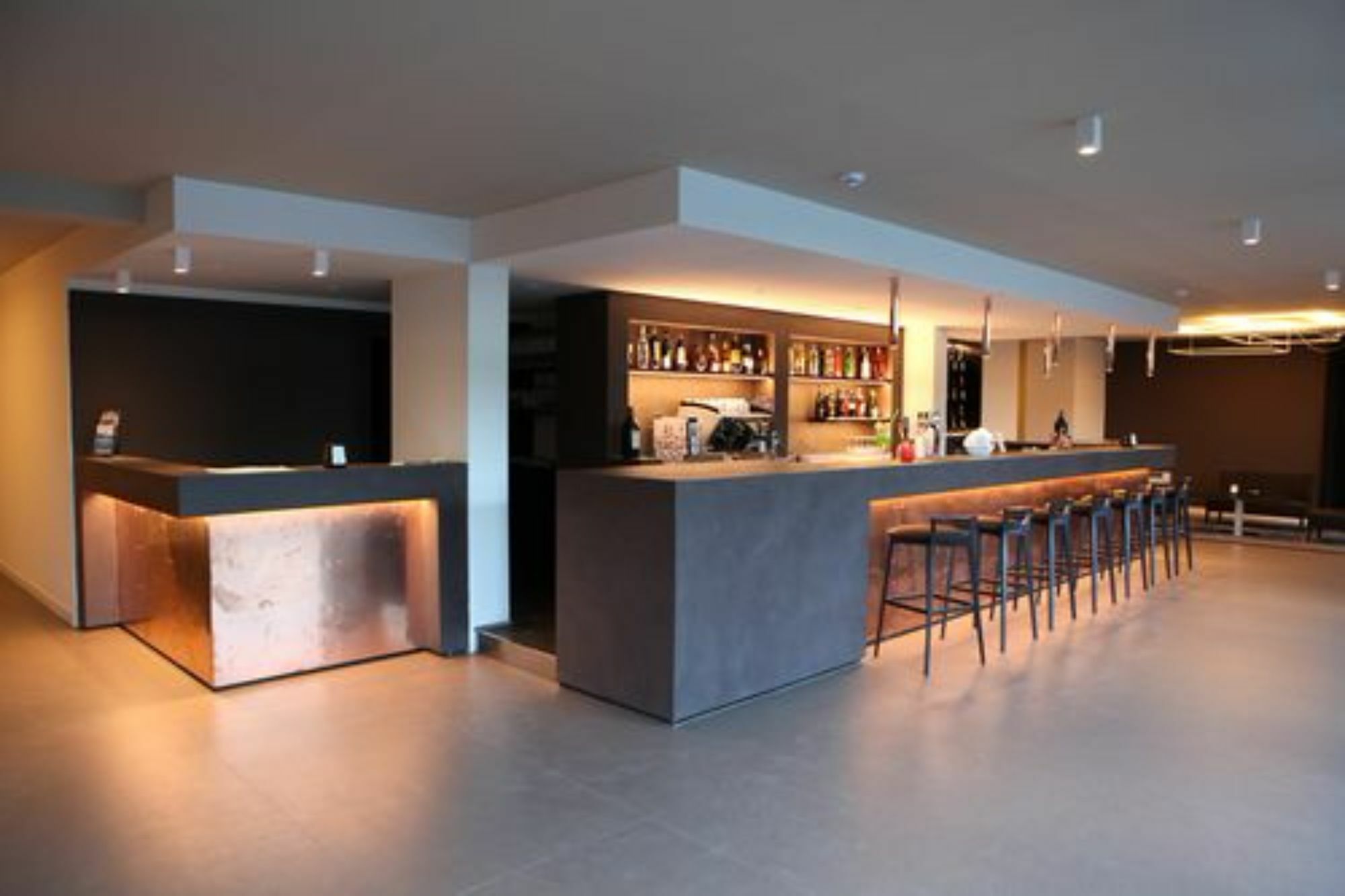 Hotel Palazzo Del Garda & Spa 데센자노델가르다 외부 사진